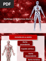 Anatomía de Las Arterias