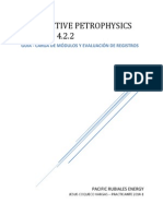 Interactive Petrophysic