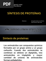 Síntesis de Proteínas