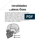 Tipeo Generalidades Cabeza Ósea