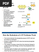 The Structure and Hydrolysis of ATP