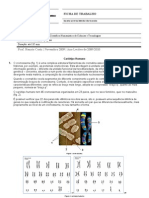 Ficha de Trabalho 6 Biologia 12