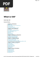 1-What Is OAF