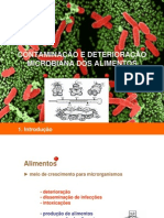 Contaminação e Deterioração de Alimentos Aula 04 Reduzida