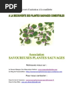 A La Découverte Des Plantes Sauvages Comestibles