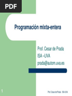 Programacion Entera Mixta