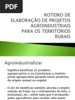 Roteiro de Elaboracao de Projetos Agroindustriais1