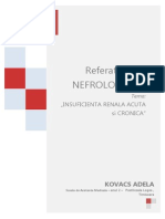 Referat Nefrologie - Alexandru Stanus