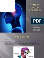 Tema 12 TALLO Cerebral