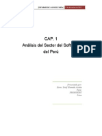 Informe Sector Software Peru PDF