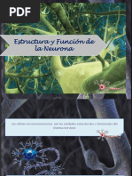 Exposicion de Fisiologia de La Neurona...