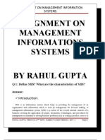 Assignment On Mannegement Information Systems