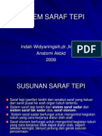 Sistem Saraf Tepi