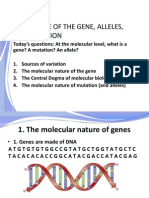 08 Genes and Mutation