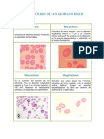 Analisis Clinico3