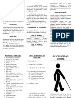 Triptico de Discapacidad Visual