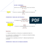 Perímetro y Área Del Cuadrado