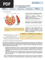 Guia de Formacion Orina Hipotonica y Hipertonica!!