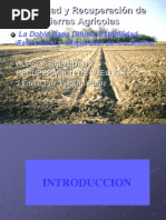 Exposición - Salinidad - Doble Capa Difusa