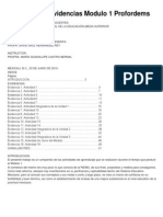 Portafolio de Evidencias Modulo 1 Profordems