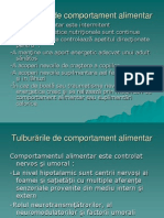 Tulb Alimentar