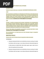 Audiencia de Ofrfecimiento de La Prueba