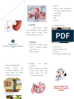 Leaflet Gastritis