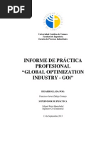 Informe de Práctica Profesional