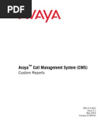 Avaya CMS Custom Reports