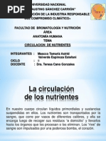 Circulacion de Nutrientes.