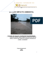 Estudio de Impacto Ambiental Puente