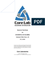 CC3 Well PVT Final Report