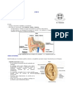 Partes Del Oido