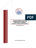 Plan Estrategico Bahia Paracas