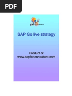 SAP Go Live Strategy