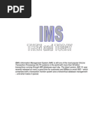 22 zTidBits (IMS - Then&ToDay) PDF