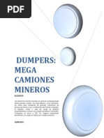 Informe de Dumper Oficial