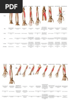 OIA Upper Arms