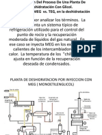 Descripción Del Proceso de Una Planta de Deshidratación