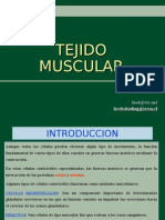 Tejido Muscular