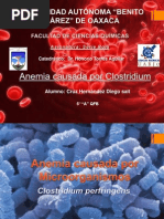 Anemia Por Clostridium