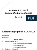 Curs 13-Topografia Capului