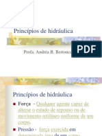 Princípios de Hidráulica