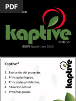 Kap Tive