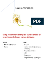 3 Neurotransmission 