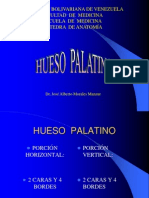 Hueso Palatino