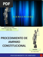 Procedimiento de Amparo Constitucional