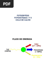 Bioquímica de La Fotosíntesis Ciclo de Calvin