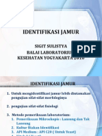 Teknis Identifikasi Jamur Biakan Identifikasi