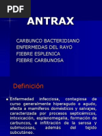 Antrax